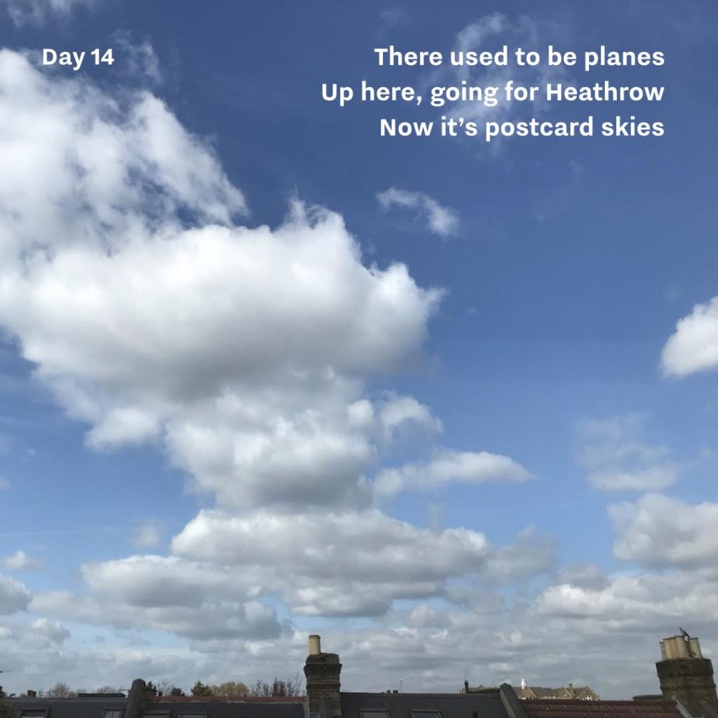 Haiku day 14