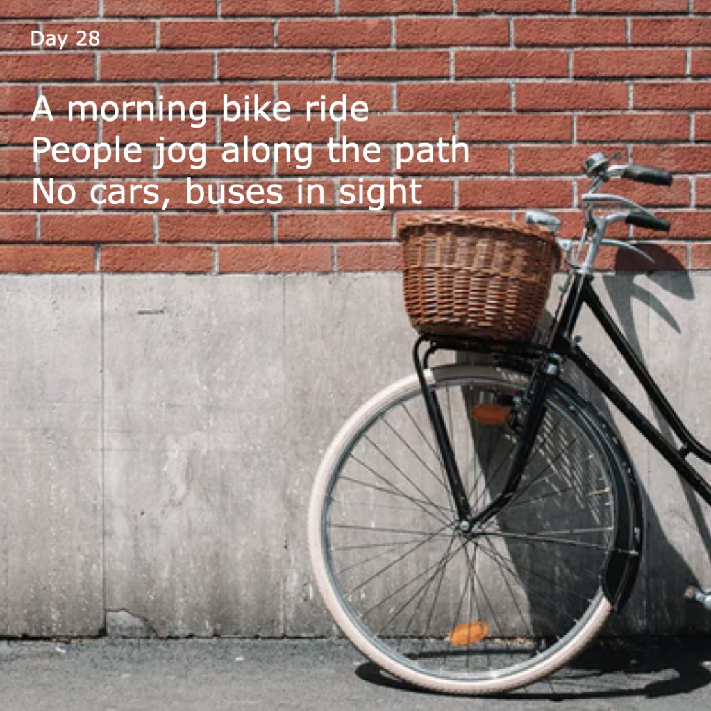 Haiku day 28