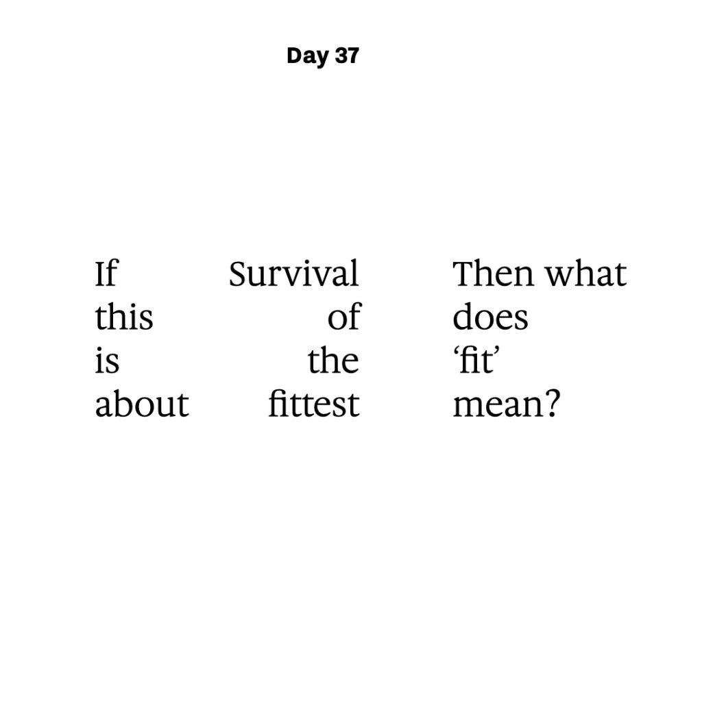 Haiku day 37
