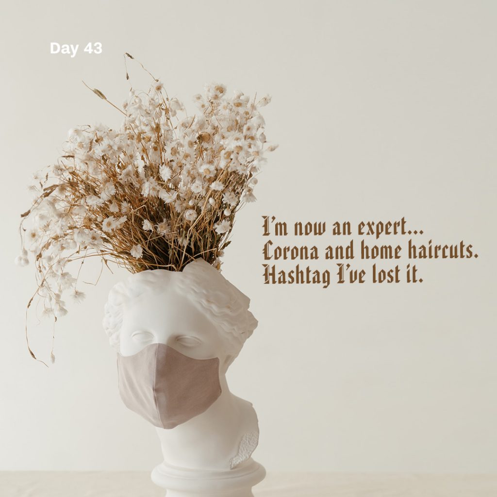 Haiku day 43