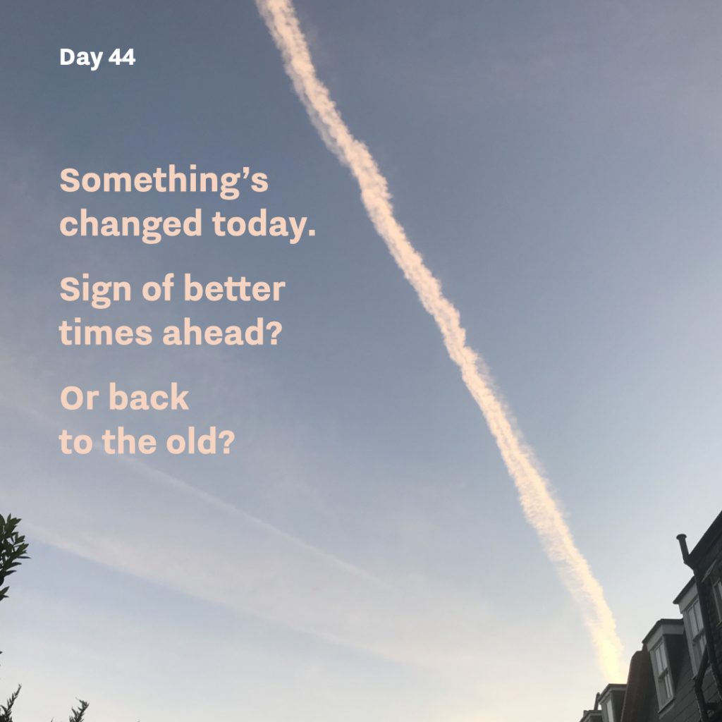Haiku day 44