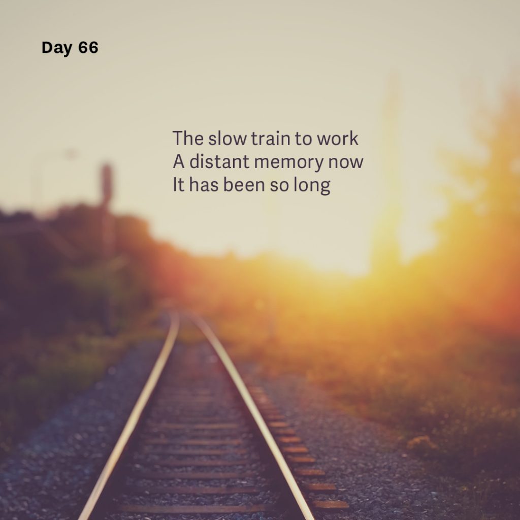 Haiku day 66