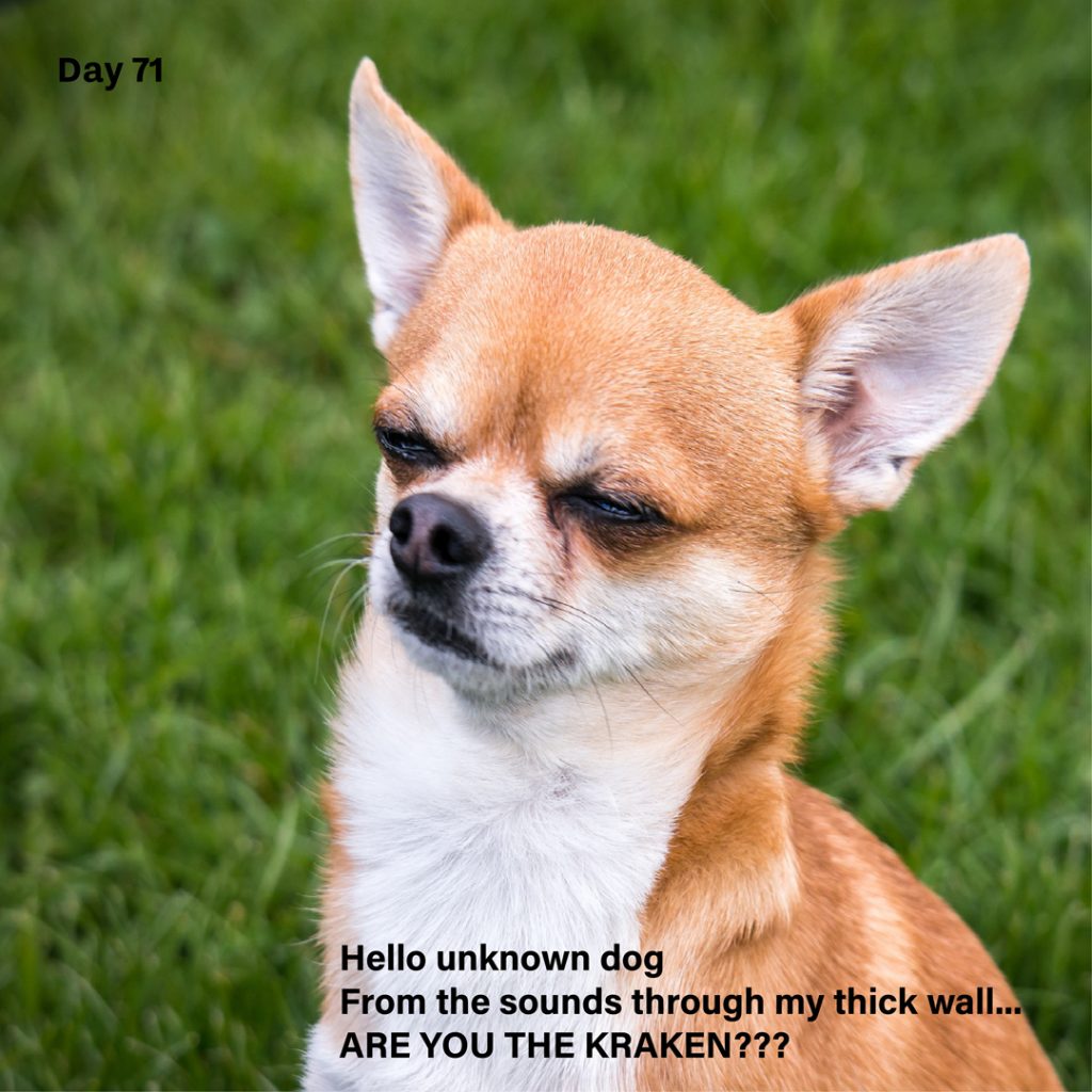 Haiku day 71